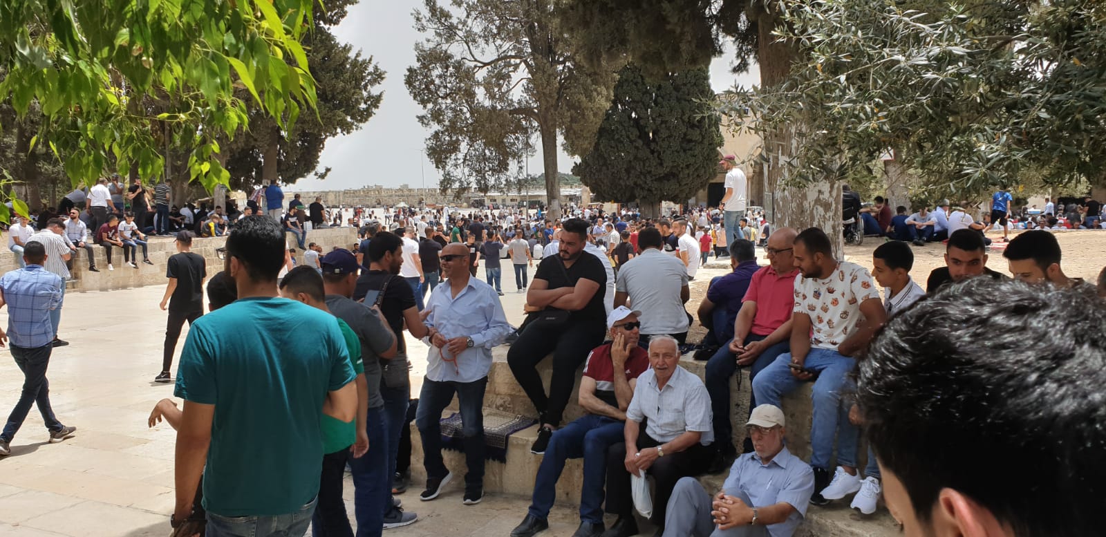 WhatsApp Image 2021-05-21 at 3.13.48 PM (1).jpeg